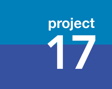 project17