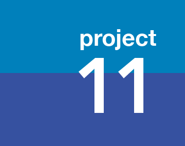 project11