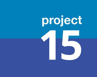 project15